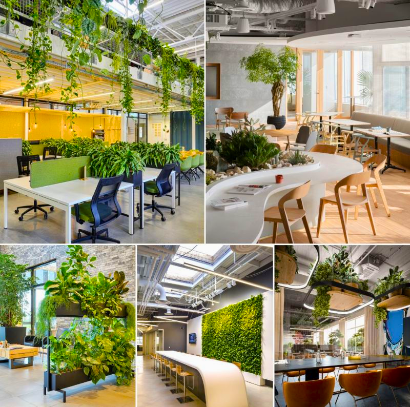 Biophilic Design là gì? Tìm hiểu về phong cách thiết kế Biophilic Design