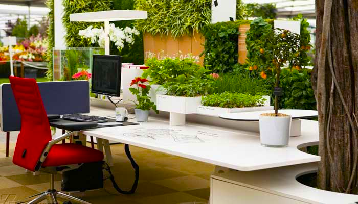 Biophilic Design là gì? Tìm hiểu về phong cách thiết kế Biophilic Design