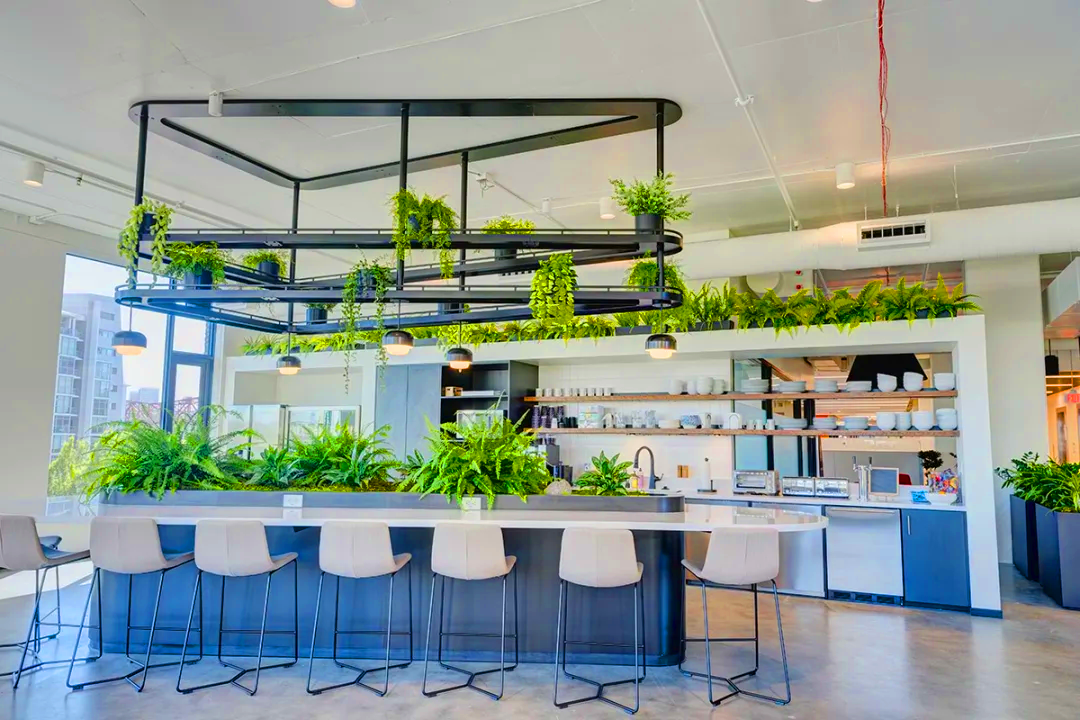 Biophilic Design là gì? Tìm hiểu về phong cách thiết kế Biophilic Design